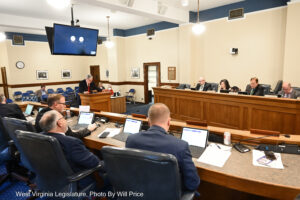 Senate Judiciary OKs House resolution to forbid non-citizen voting in the state